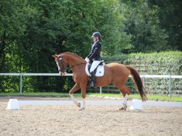 IMG_1125_web